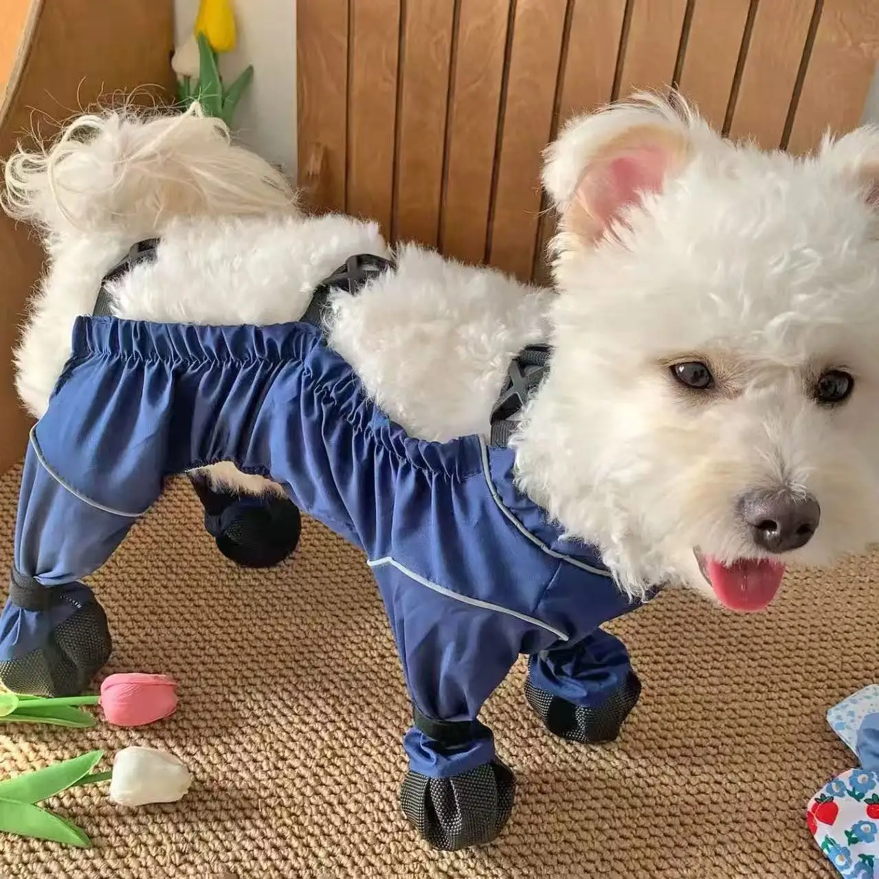 Zapatos para perros de exterior antisuciedad y antimosquitos - imagen 4