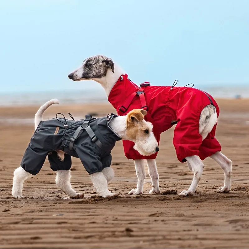 

Four-legged Chest and Back Integrated Pet Dog Raincoat Can Be Towed New Weatherproof Turtleneck Adjustable Solid Color Dog Suit