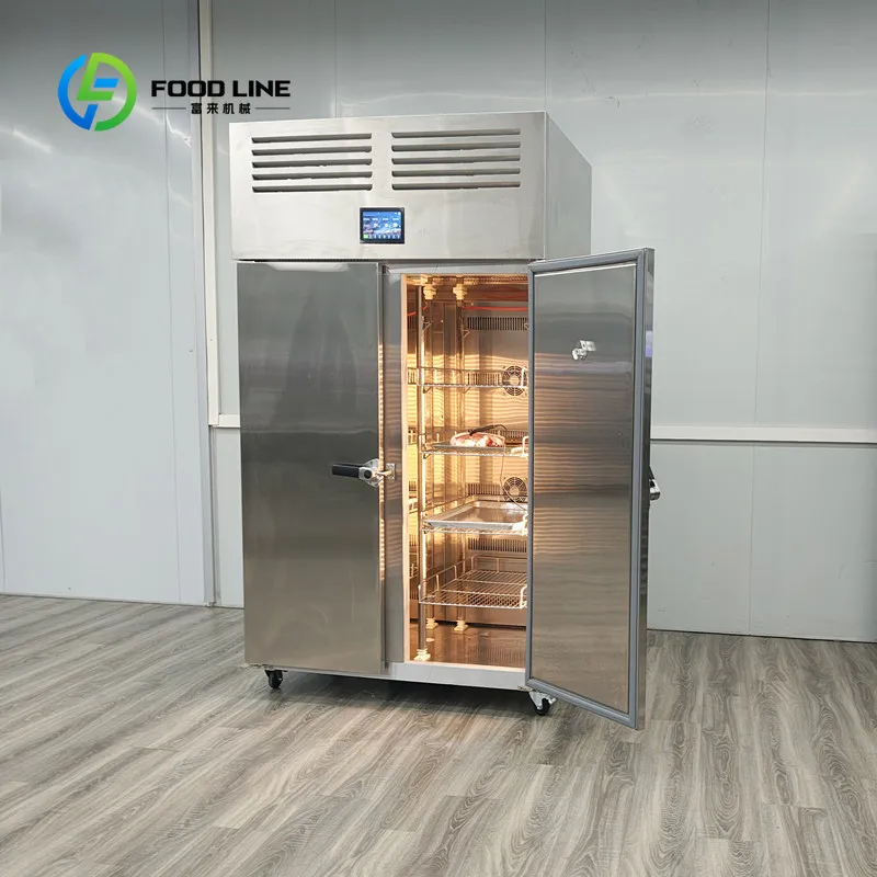 Meat Thawing Cabinet Seafood 80kg Double Door Stainless Steel Customized Low Temp High Humidity aliexpress custom stickers