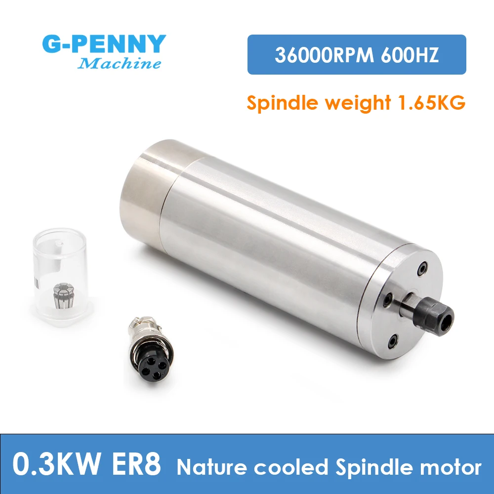 G-Penny 300W ER8 D4… - image