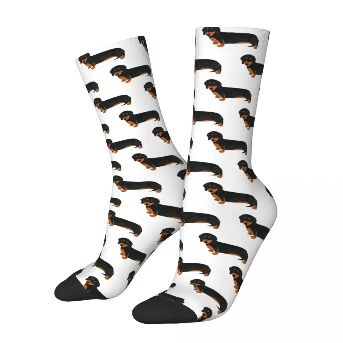 

Sausage Dog Lovers Socks Harajuku High Quality Stockings All Season Long Socks Accessories for Man's Woman's Birthday Present
