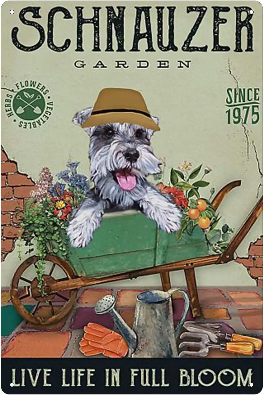 Hfjdhf Schnauzer¡¯S…