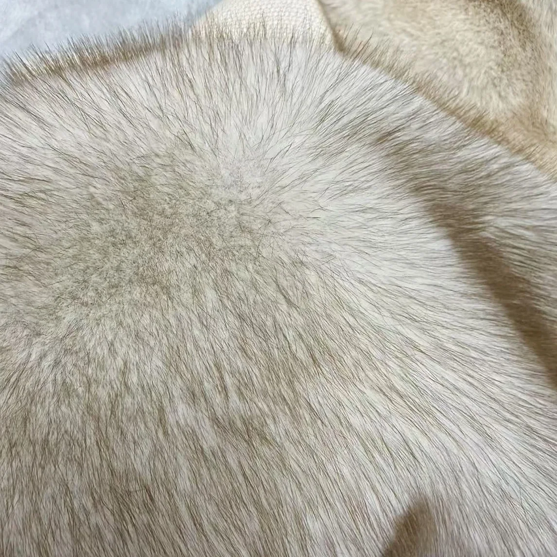 1yard 4cm Artificial plush resembling fox fur fabrics for patchwork Autumn and winter vest clothing toys and dolls Fabric