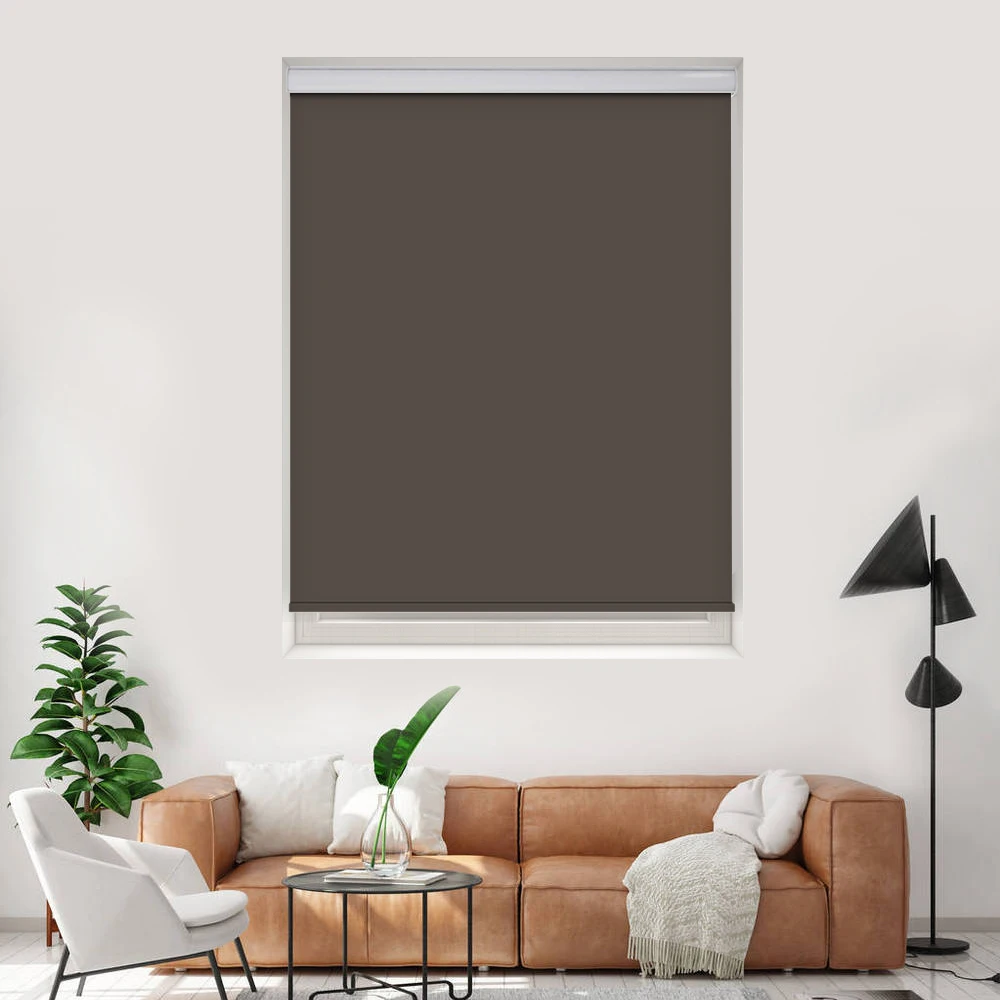 Full Blackout Roller Blinds with Cover Box Pet Friendly Durable Simple Style Customized Zigbee Wi-Fi Tuya Smart Home Decoration