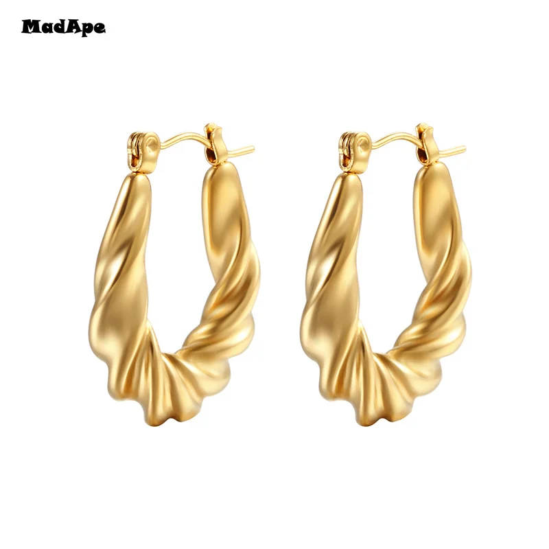 Trendy High-quality Twisted Hoop Earrings Ear Rings for Women Silver Color Designer Jewelry New Arrival 2022