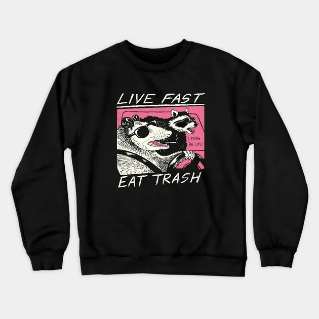 

Autumn and Winter Cool Raccoon - Meme - Driven Sweatshirt Trendy and Fun - Loving Seasonal Attire for Memorable Appearances