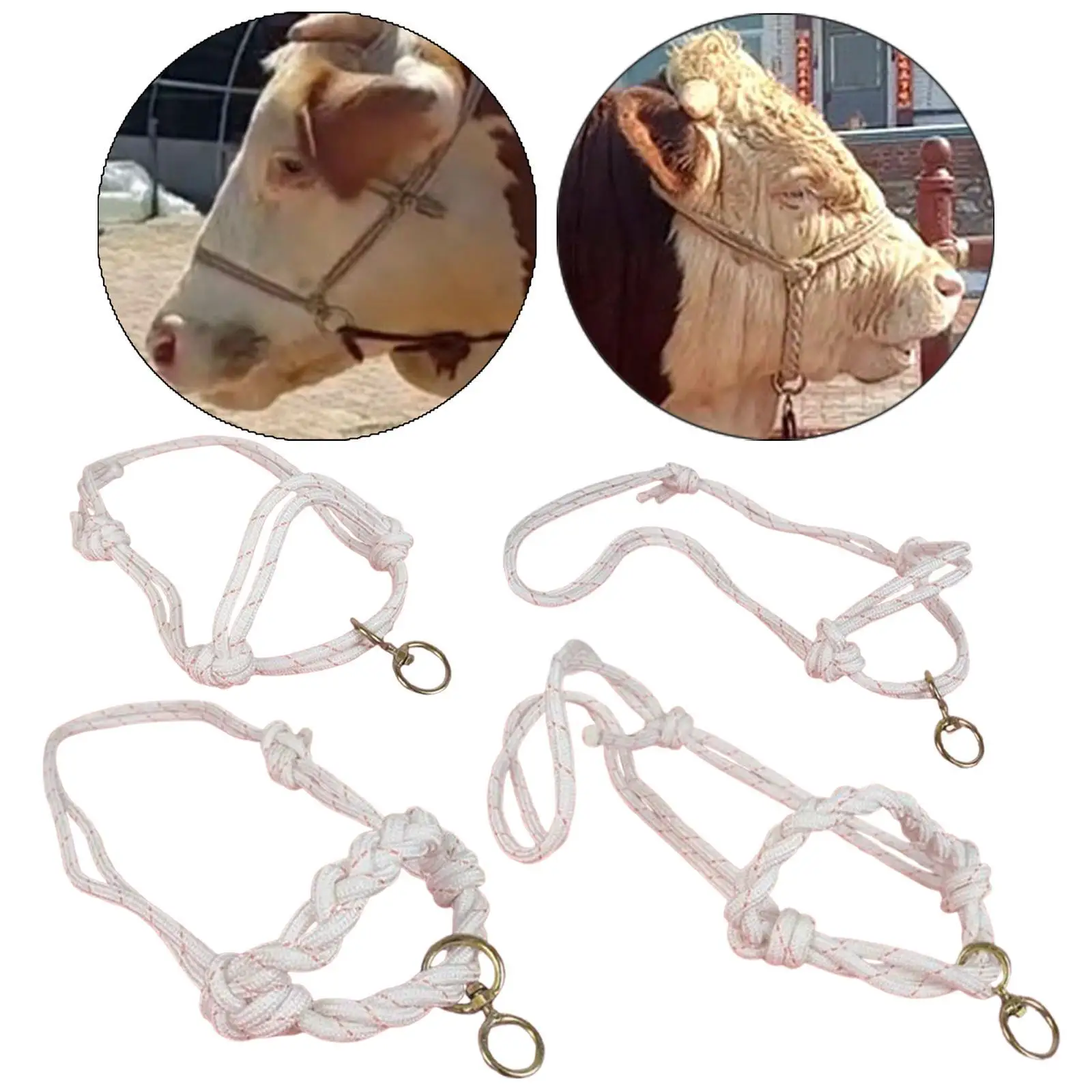 Bull Bridle Bull Head Harness Calf Control Gear for Home Cattles Farms Practical Tools Outdoor Cow Halter Cattle Traction Halter