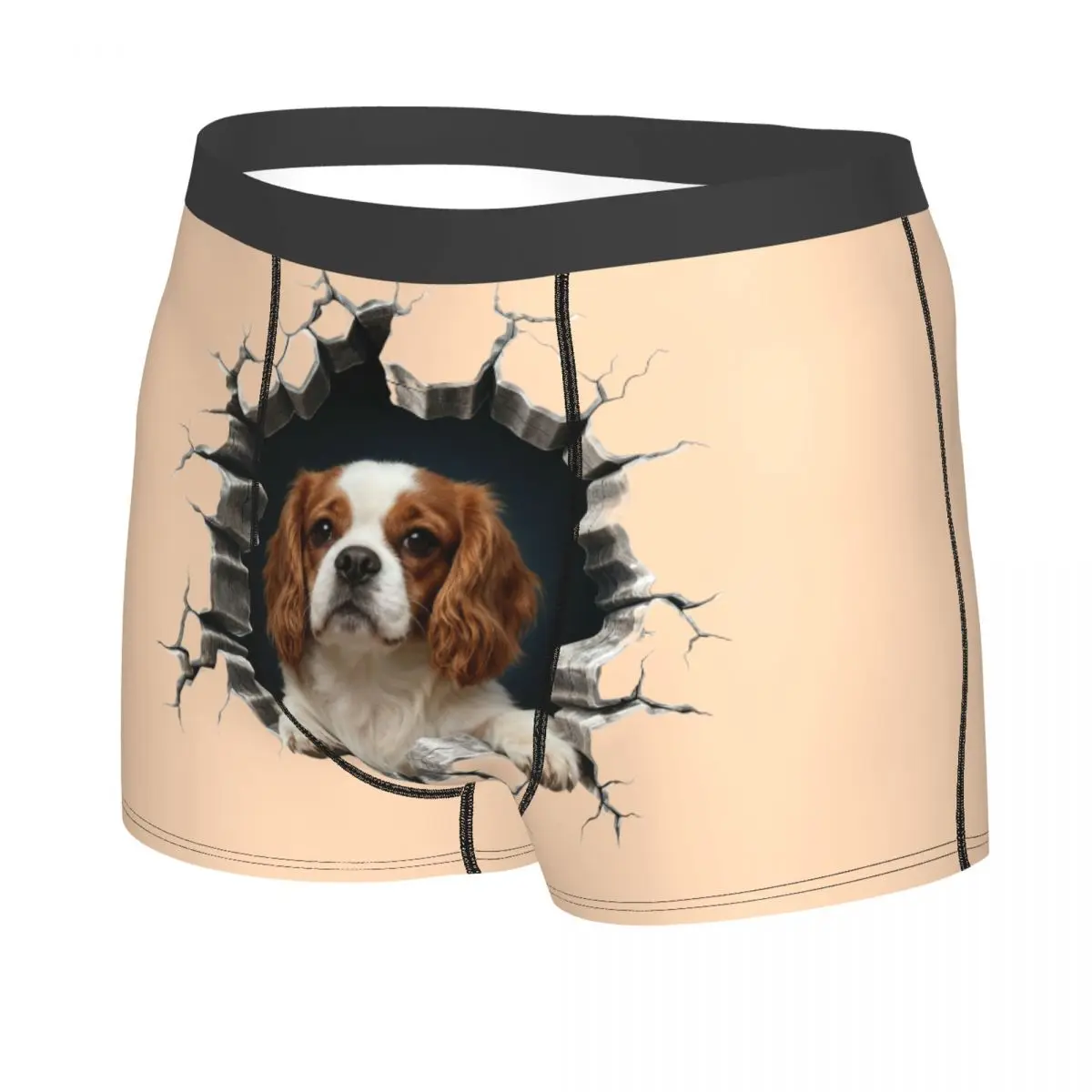 Cavalier King Charles Spaniel ropa interior del Día de San Valentín hombre impreso amante de los perros Boxer calzoncillos cortos bragas calzoncillos suaves