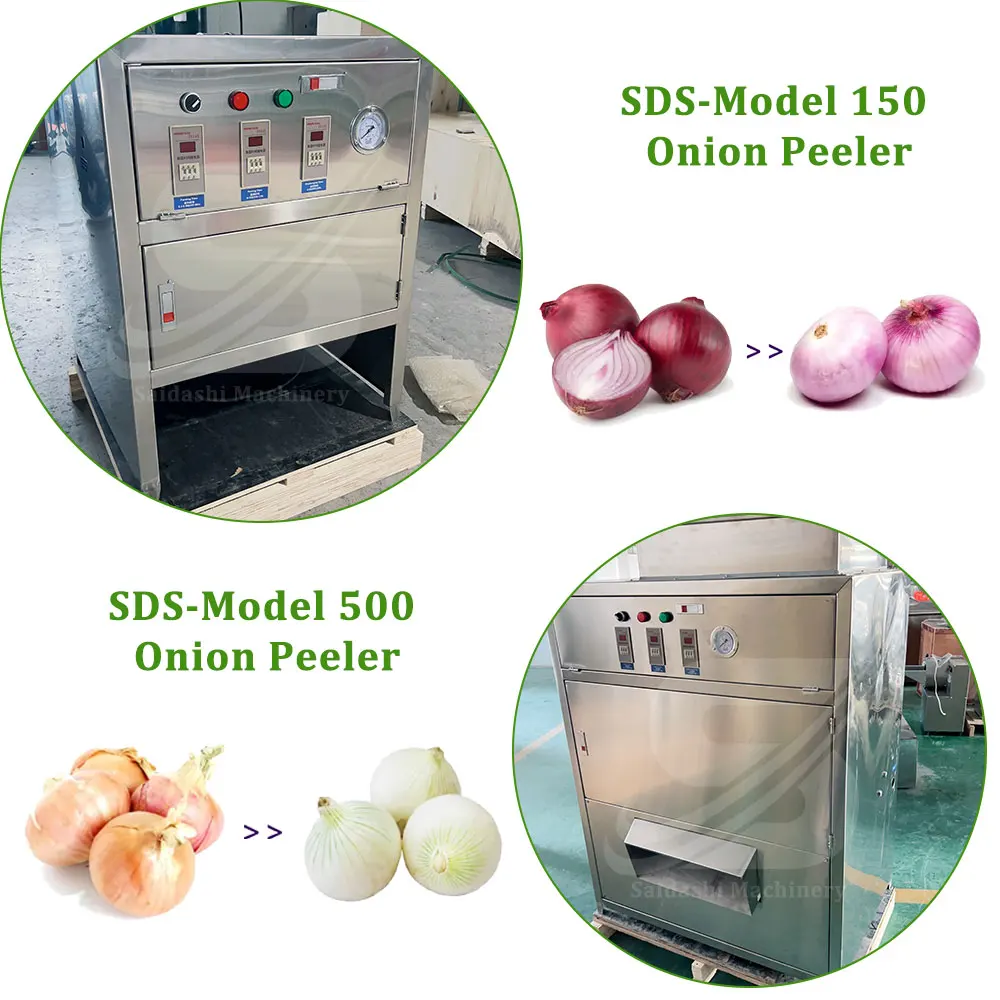 Small Scale 100-150kg Per Hour White Onion Peeler Machine for Restaurant Use for Peeling Garlic