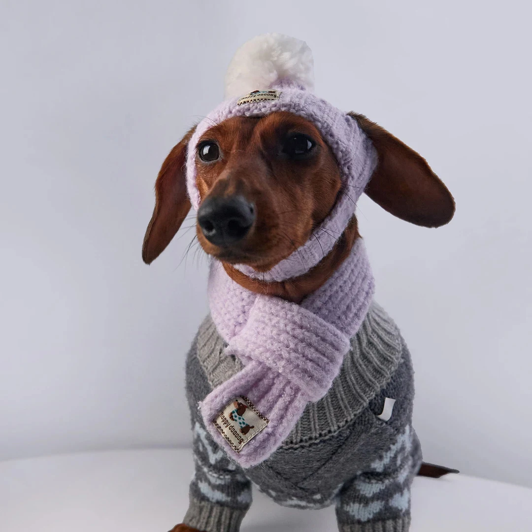 Warme blauwgrijze Fair Isle trui voor Wiener Dog, geschikt voor de winter en de herfst. Zachte, korte mouwen, dikke vest voor Dachshund.
