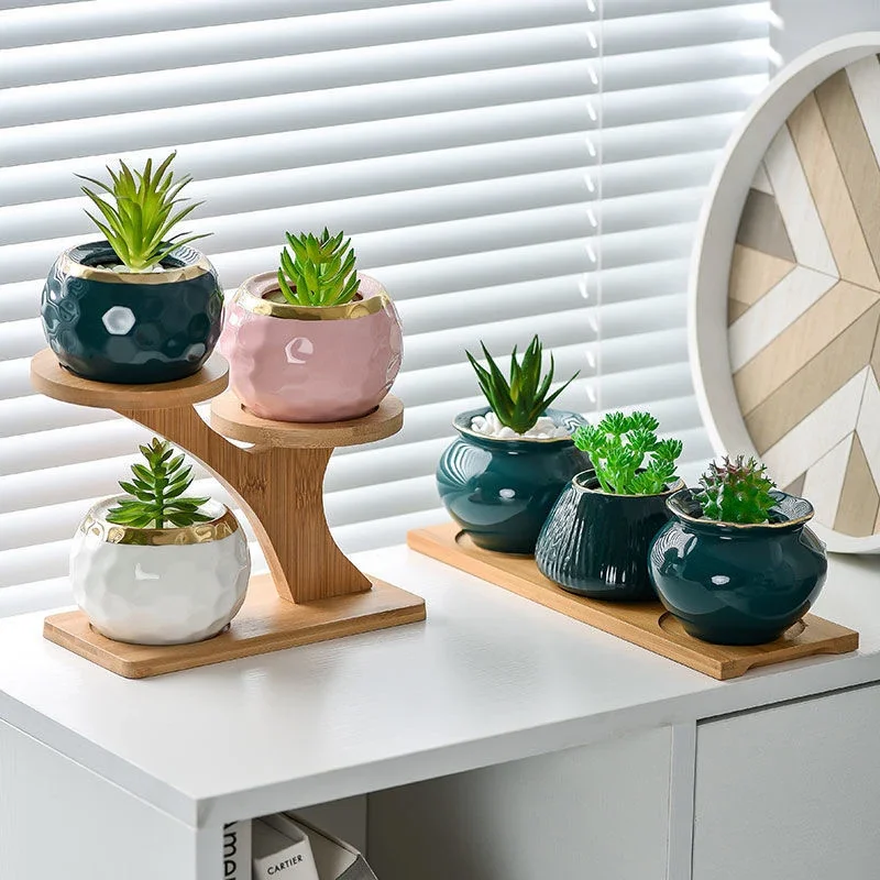 Mini Plant Flower Pot Oval Shape Bamboo Wood Plant Tray Stand Favor Succulent Pot Tray Simple Elegant Design Home Balcony