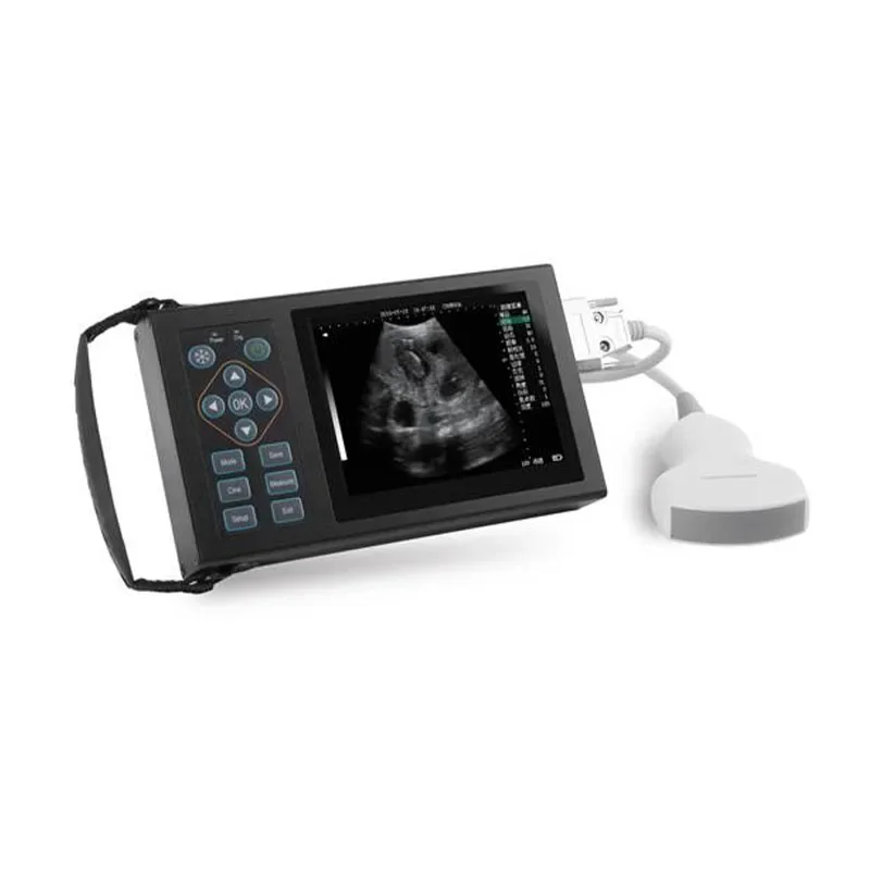 

Pet Animal Vet Ultrasound Scanner Equipment For Pig A10 digital B ultrasound parameters Handheld Veterinary Ultrasound