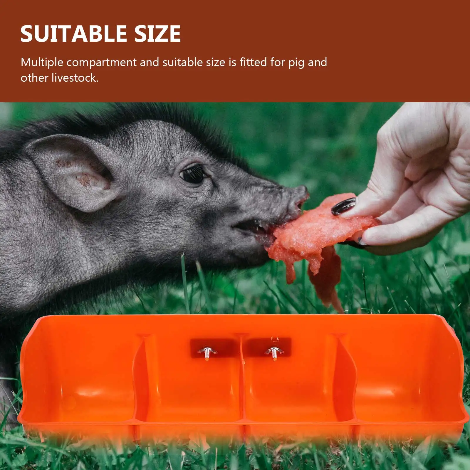 

Pig Feeder 4 Holes Plastic Manger Large Capacity Easy Clean Wet Dry Food Water Bowl Farm Livestock Feeding Device Practical