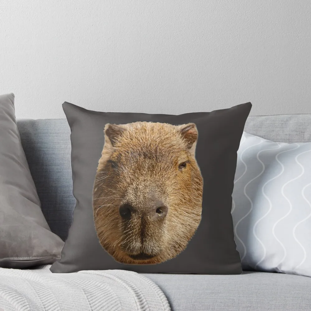 

Male Capybara face Throw Pillow Sofa Cushions Cover Decorative Cushions autumn decoration Decorative Sofa Cushion pillow