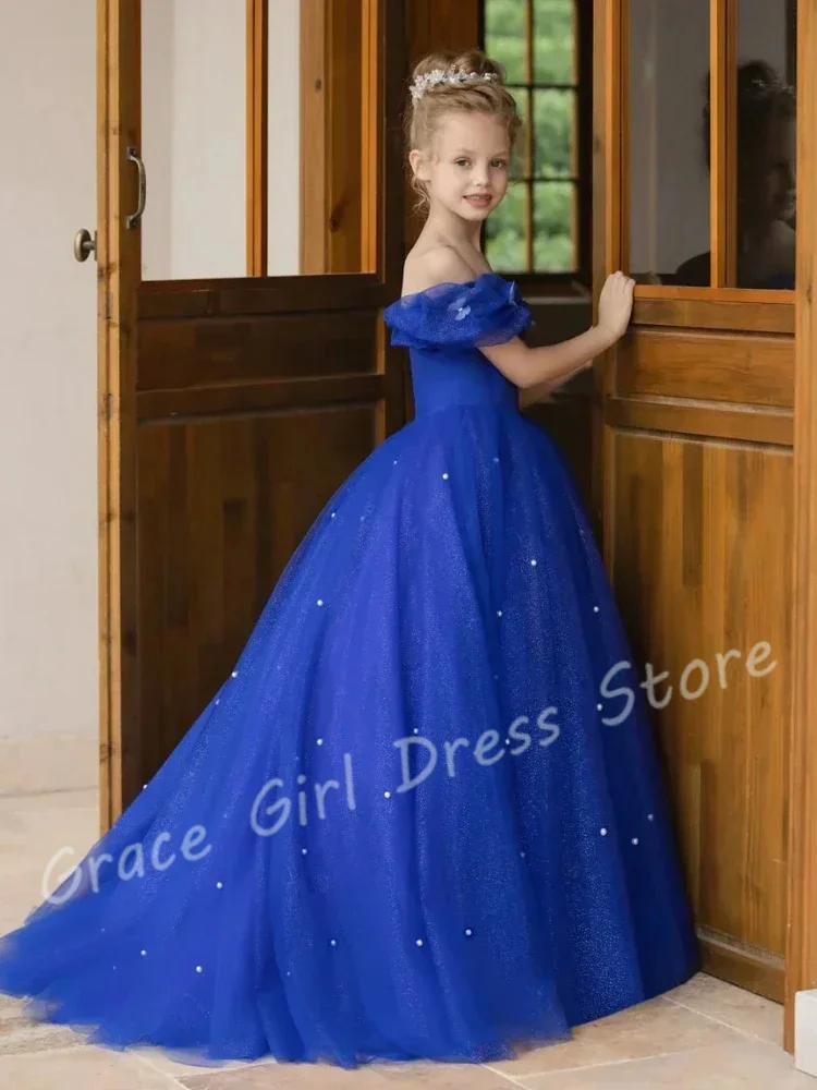 

Customized Royal Blue Flower Girl Dress For Wedding Glitter Tulle Pearls Butterflies Elegant Evening Party First Communion Gown