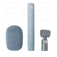 Small Diaphragm Cardioid Handheld Microphone for News Anchor Conference Stage Choir Condenser Microphone Interchangeable Capsule