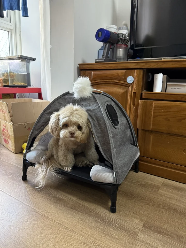 

Foldable Pet Stroller for Cats Dogs Lightweight Detachable All Season Use Summer Cool Winter Warm
