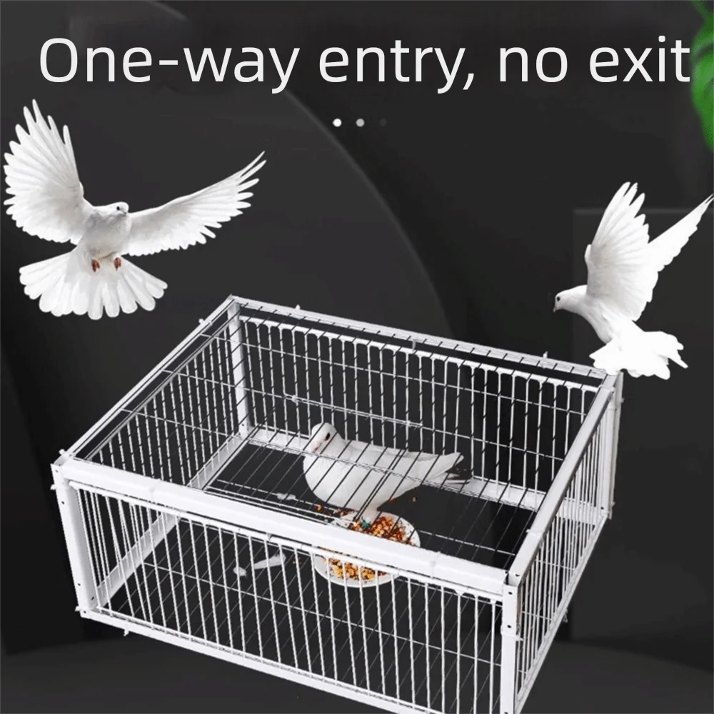 

Thickened Pigeon Trap Cage 1/2/4 Entrances Encrypted Auto Trap Bird Cage One-Way Entrance Metal Construction Bird Entrance Cage