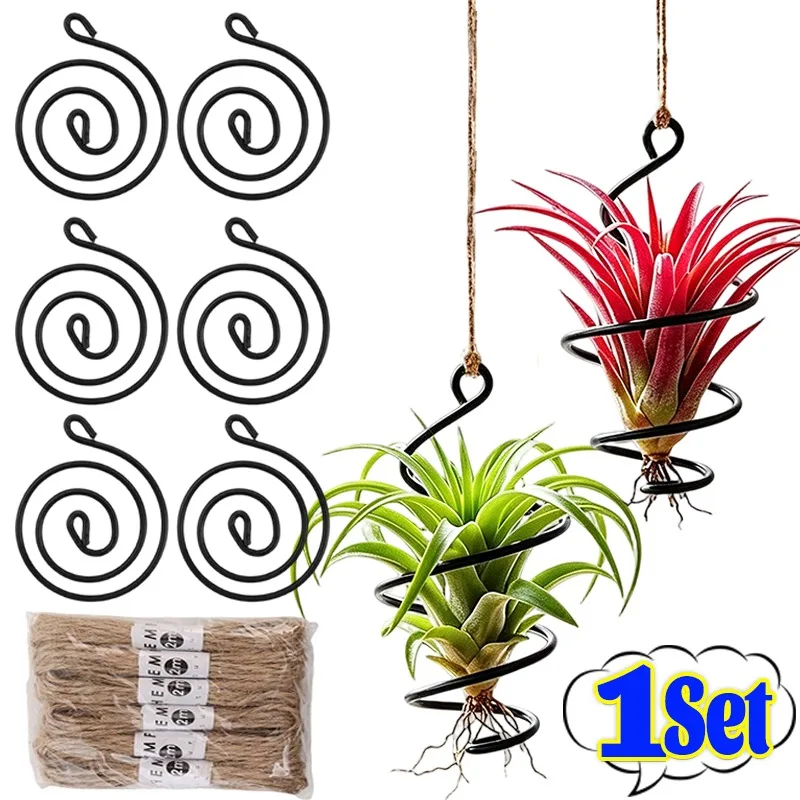 6 Pack Hanging Air Plant Holder Spiral Wire Stand Tillandsia Display Geometric Rust Resistant Indoor Garden Decor with Hemp Rope