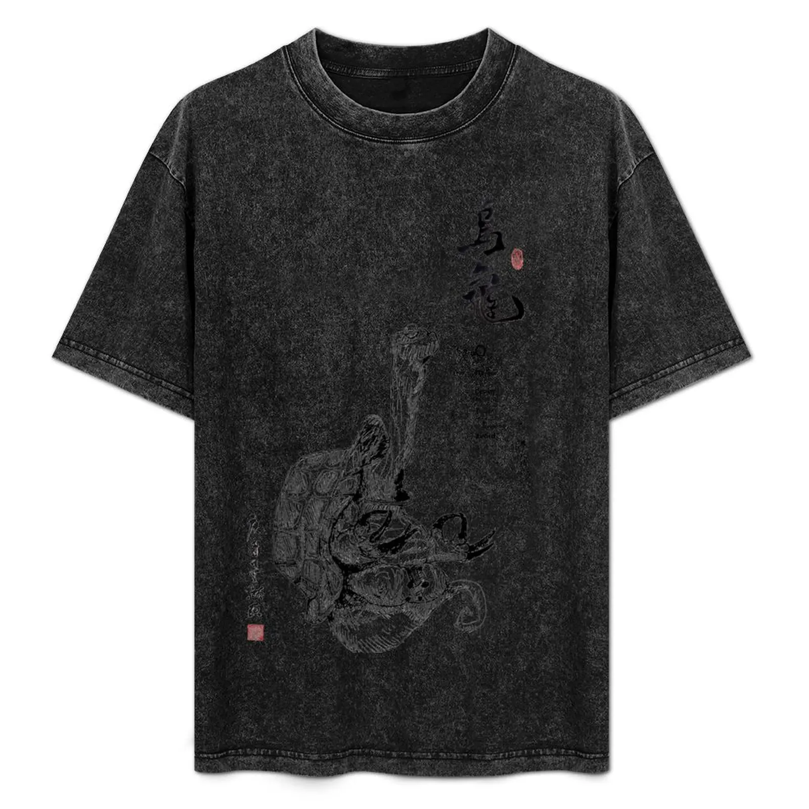 

Master Oogway Meditating T-Shirt Casual Loose Daily Wear T-Shirt