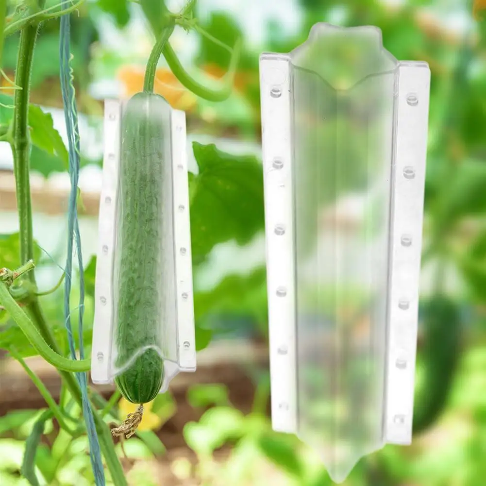 20cm Cucumber Shaping Mold Transparent Plastic Garden Vegetable Growing Molds Vegetable Cultivation For Cucumber Tomato Carrot