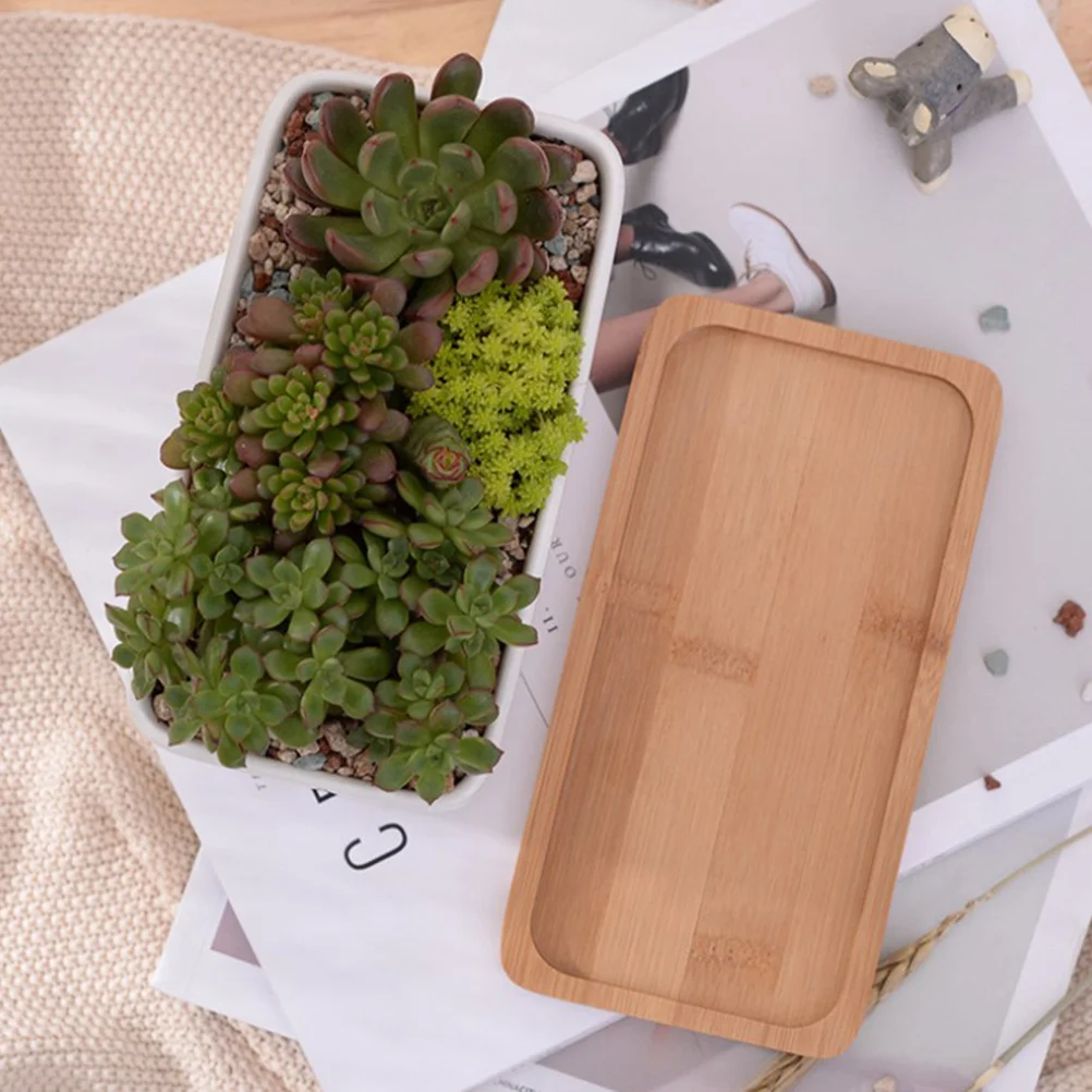 

2pcs Succulent Plants Pot Rectangle Flowerpot Heat Resistant Cold Resistant For Small Cactus Air Plants Office Decor Plant