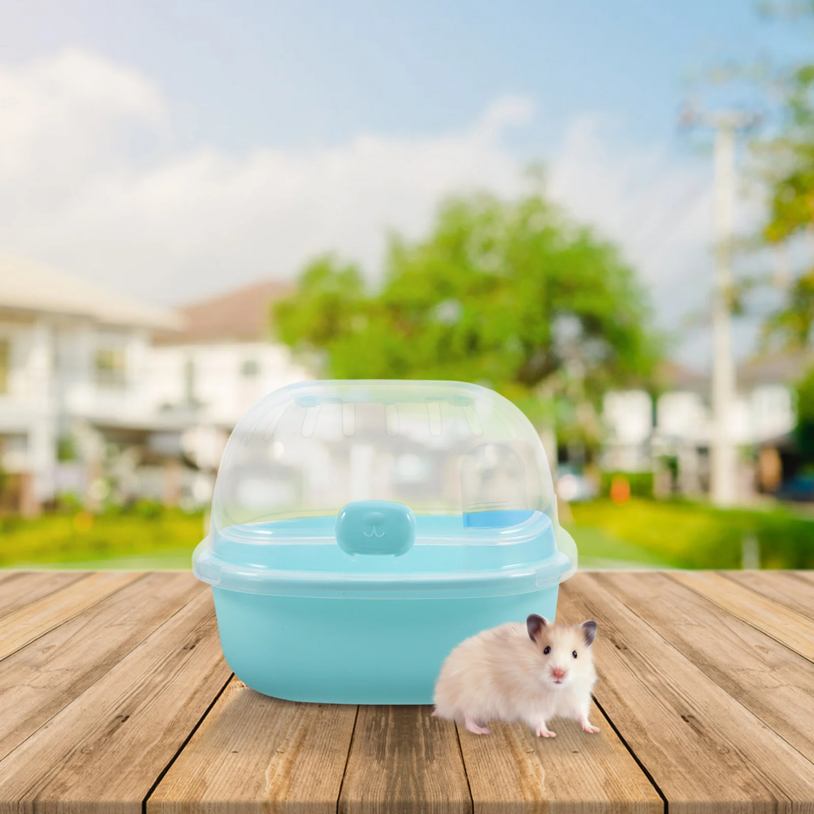 

Hamster Travel Cage Outdoor Small Pet Carrier Transparent Portable Handle Comfortable Safe For Hamster Carry Case Clear