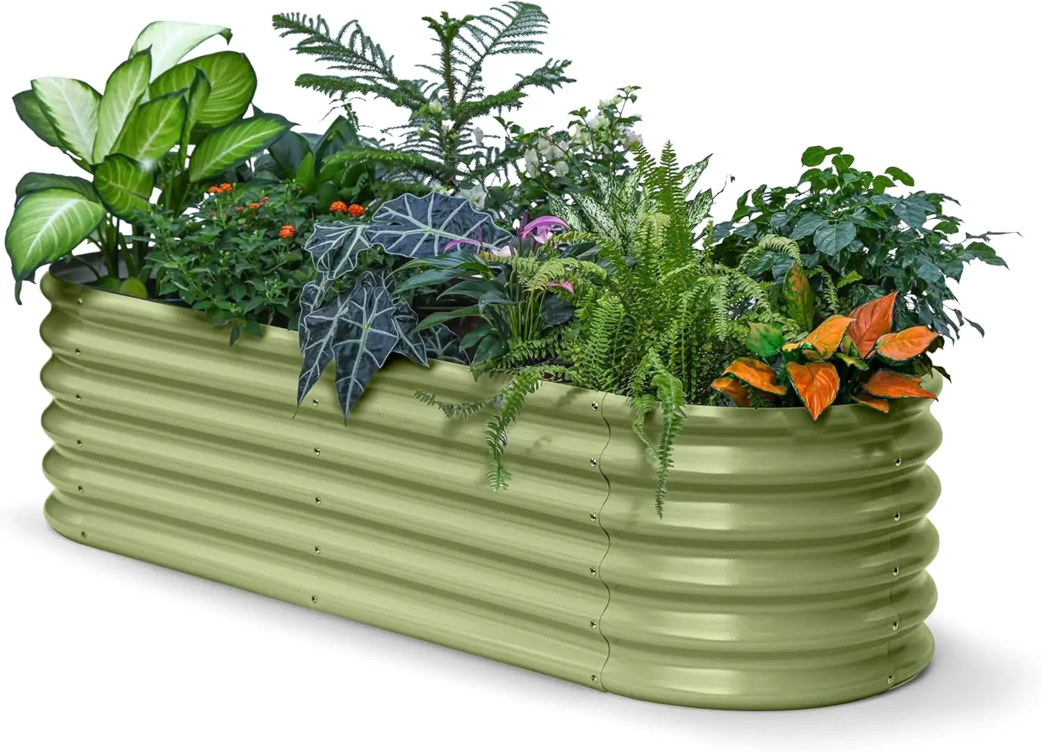 Outdoor Gardening Galvanized Planter, Moss Green, Suitable for Small Spaces