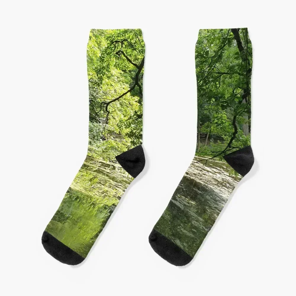 Green Forest Lake Socks funny gifts cute colored FASHION Boy Child Socks Women's