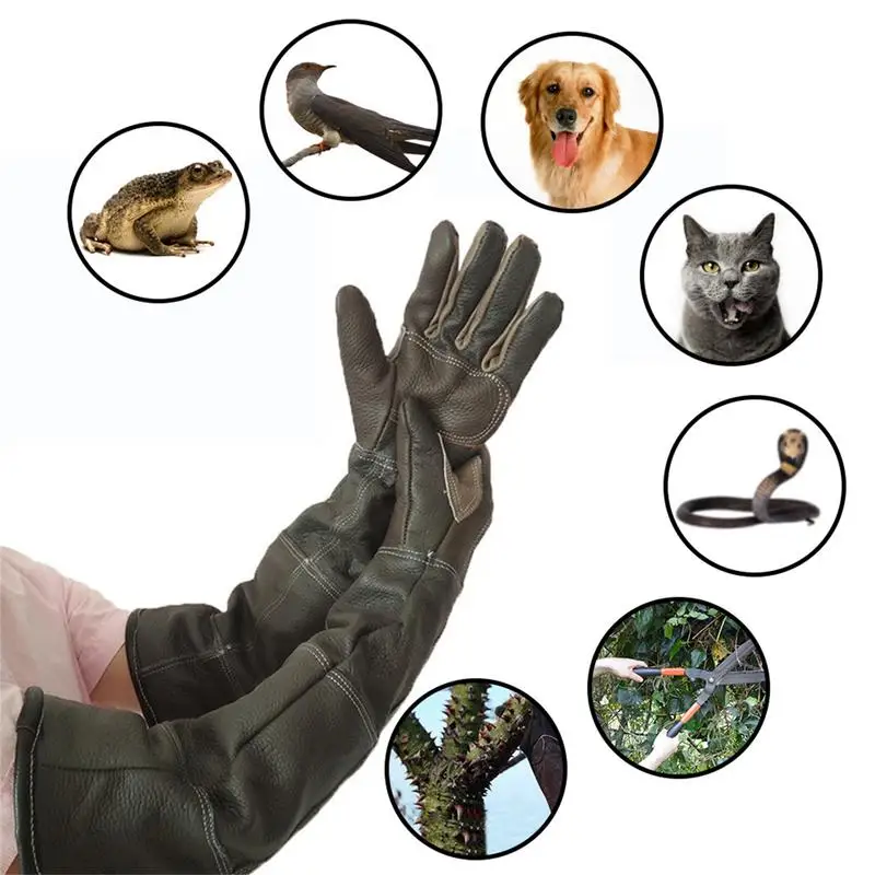 Pet Handling Gloves Multi-Snake cat grooming glove Leather Gloves Anti-thorn Pet Handling Supplie animal handling gloves