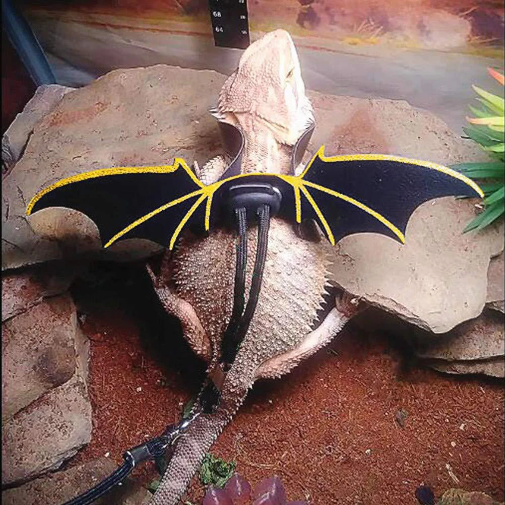 

Climbing Pet Traction Belt Small Animal Harness Hauling Cable Lizard Accessories Wing Reptile