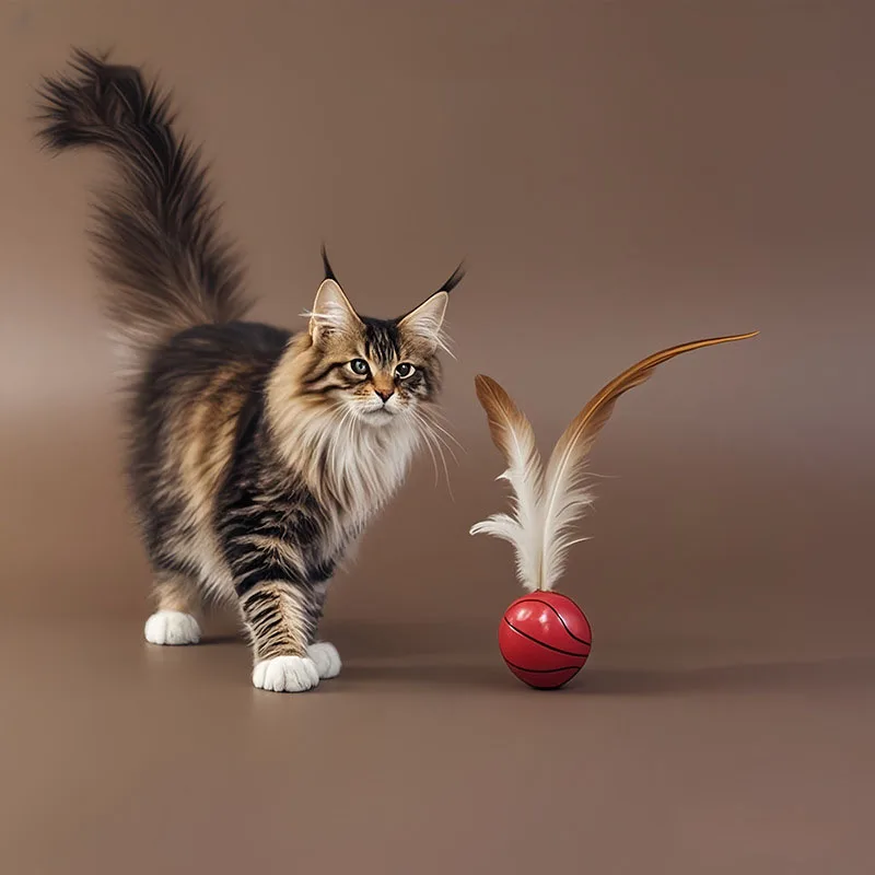 Pelota de plumas elástica para gatos – juguete interactivo rebote