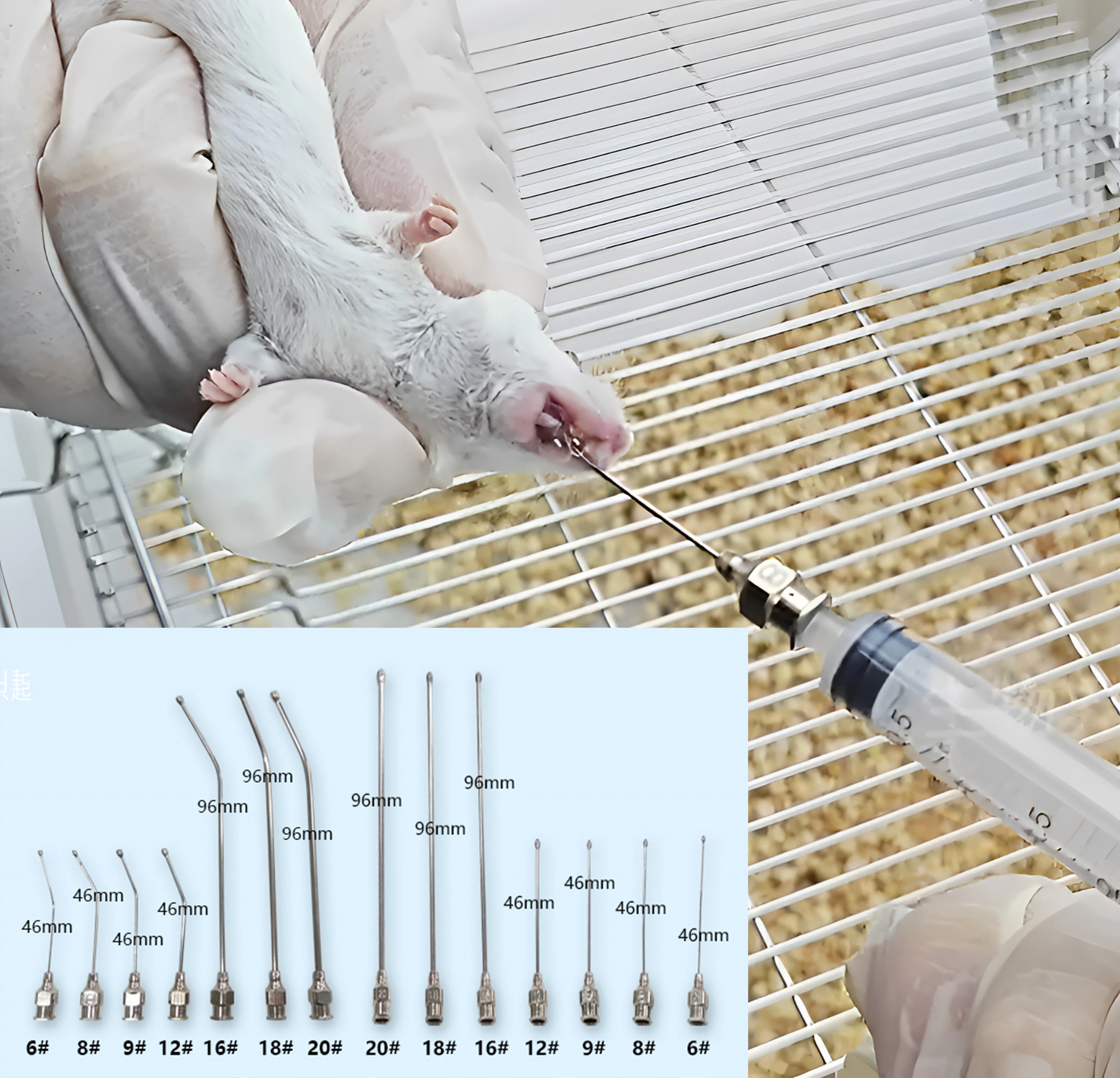 1 Лабораторный шприц для дозирования полости рта для животных, 0 шт., игла для Gavage из нержавеющей стали, прямой или изогнутый наконечник для кормления маленьких домашних животных 1 Лабораторный шприц для дозирования полости рта для животных, 0 шт., игла для Gavage из нержавеющей стали, прямой или изогнутый наконечник для кормления маленьких домашних животных