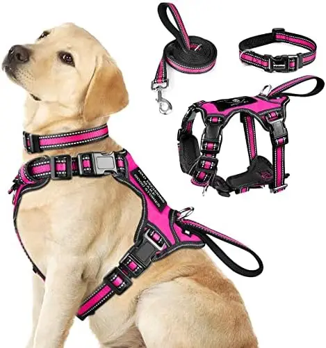 

Светоотражающий комплект: шлейка и поводок для собак – безопасная и удобная экипировка для питомцев всех размеров