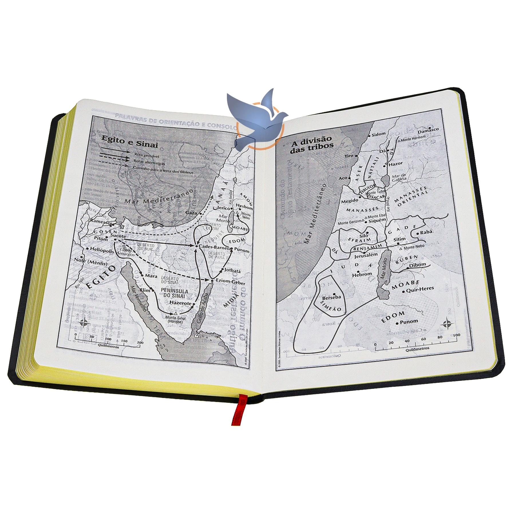 الكتاب المقدس للتبشير ، قوس الميدا ، غطاء أسود ، مجلة مصححة #6