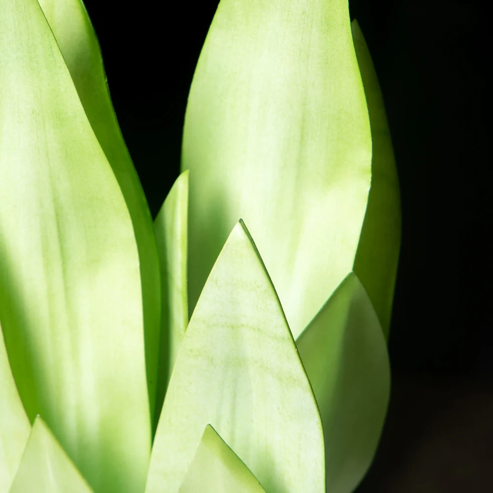 31/37 cm künstliche Schlangenpflanzen, gefälschte Sukkulenten, Kunststoff, Tigerfellpflanze, tropische Sansevieria für Büro, Zuhause, Tischdekoration – Detail 16