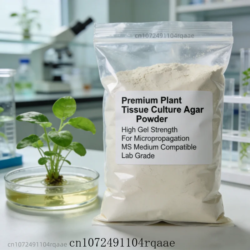 

Агаровый порошок высокой гелеобразующей способности для культивирования растительных тканей | Лабораторный класс, совместим с питательной средой MS для микропропаганды.
