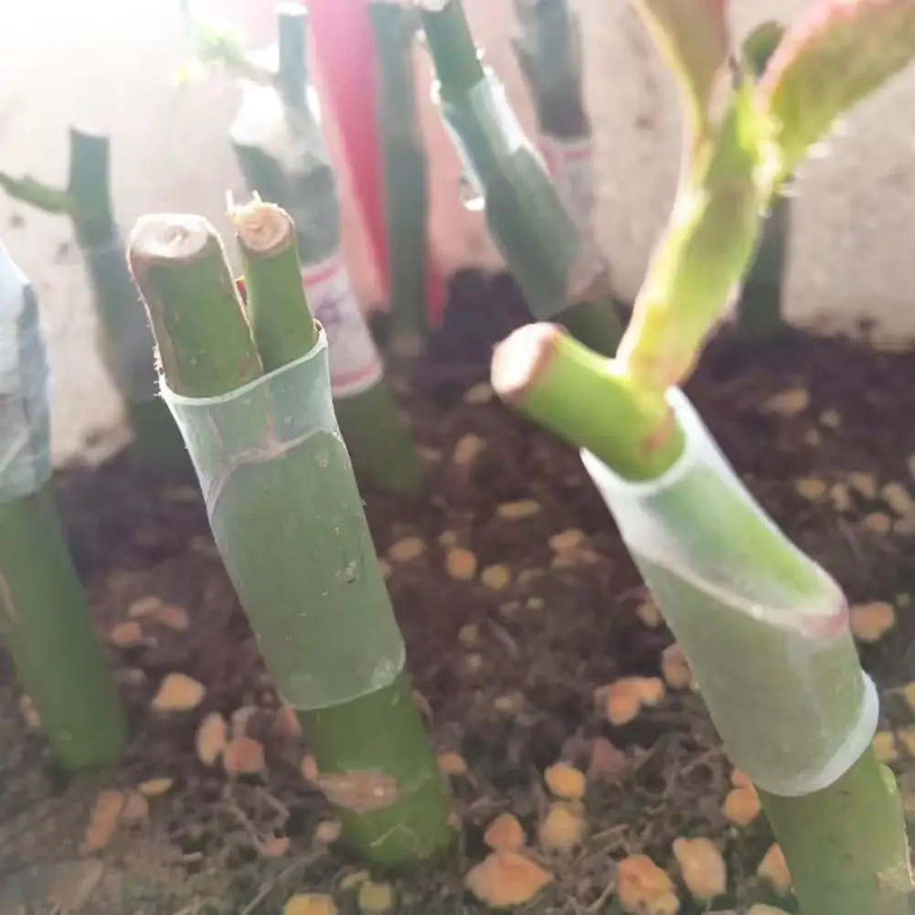 0.5cm Silicone Grafting Sleeves Elastic Thin-Walled Grafting Tubes Rapid Plant Bonding Grafting Tools For Fruit Trees Promotes