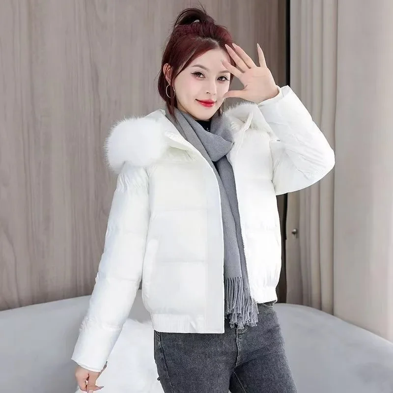 Damen-Baumwollmantel, Parka, 2025, neue Winter-Daunen-Baumwolljacke, kurz, Dopamin, niedlich, mit Kapuze, Pelzkragen, winddicht und warm, College-Mantel
