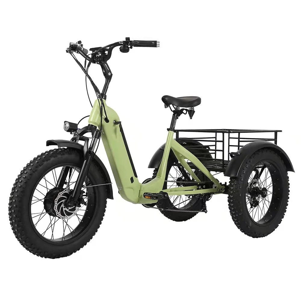 500w Family Use Electric Tricycle Electric bike for Cargo for Storage 3 wheel bike