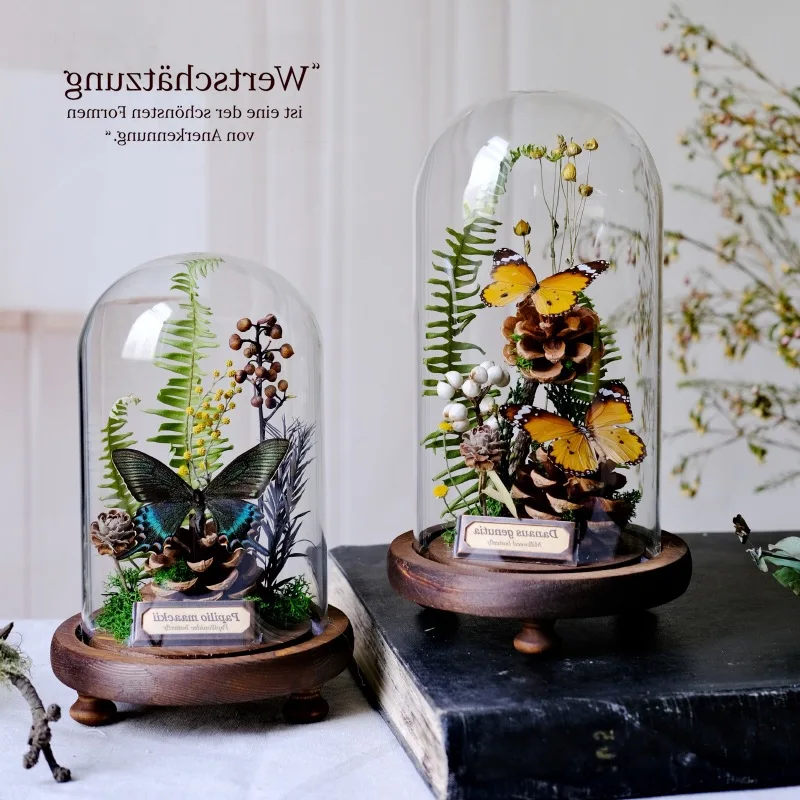 Glass cover butterfly specimen plant specimen dried flower ornament insect home flower display gift micro landscape