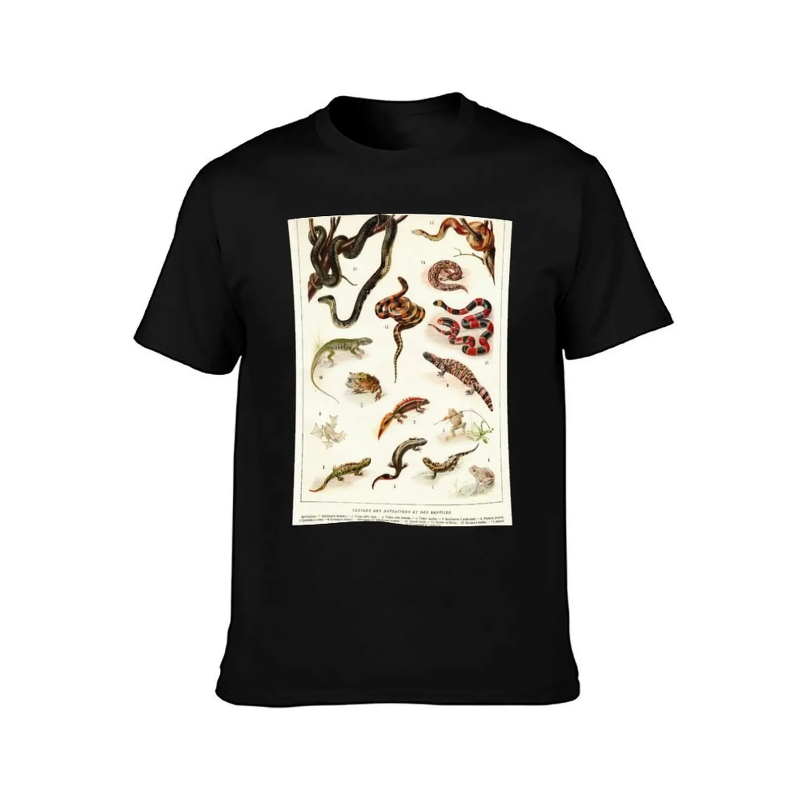 Adolphe Millot - Batraciens et reptiles - French vintage zoology poster T-Shirt Minimalist Graphic Tee Shirt T-Shirt