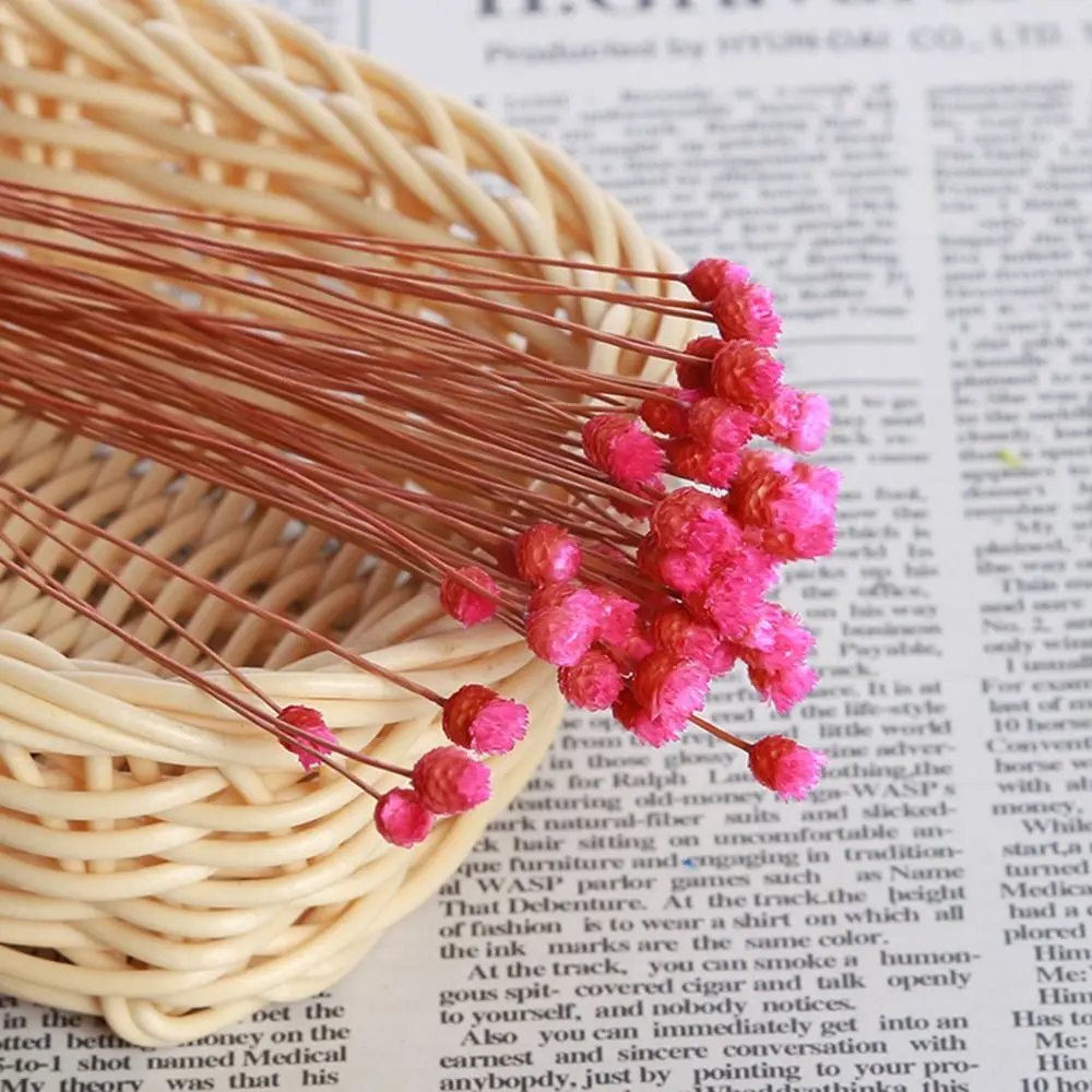 50PCS Press Small DIY Craft Plant Stems Real Flower Fresh Dried Preserved Flowers Dry Flowers Natural Dried Flowers Bouquets