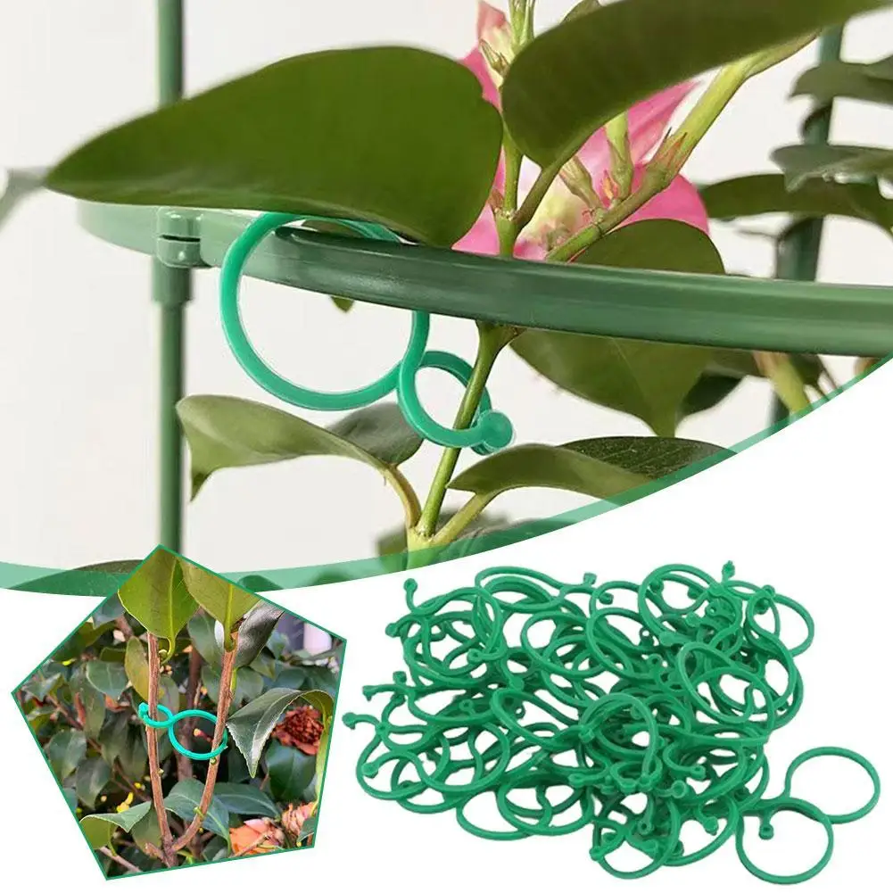 

Garden Plant Clips For Vegetable Growing Upright Plant Holder Green Plastic Bundled Garden Stand Tool Vine Support