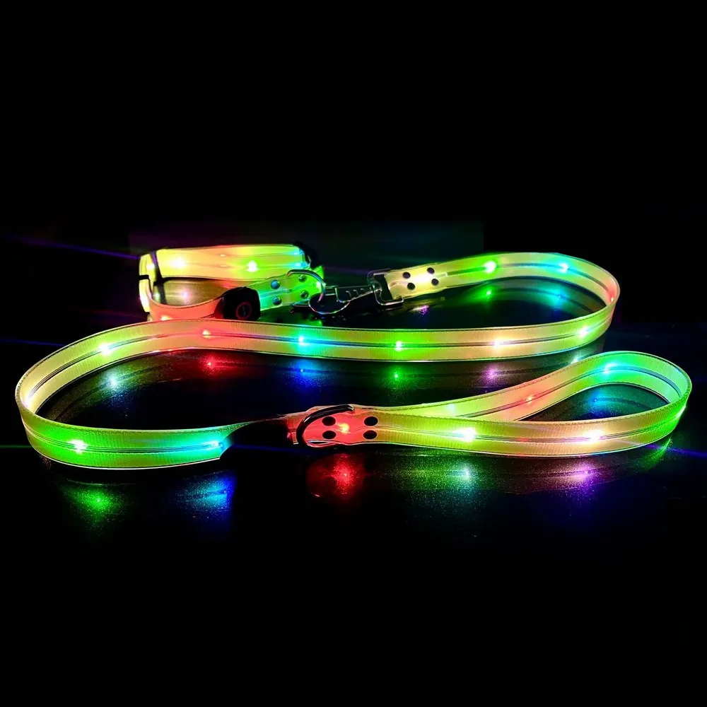 Light Up Dog Leash With Collar Set Waterproof PVC Rope USB Rechargeable Glow In The Dark Visiable Safety Night Walking