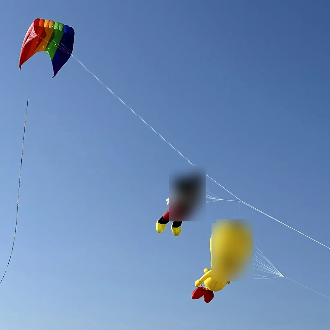 9KM 3,5 m-4 m Anatra e topo Aquilone Linea Ciondolo per bucato Morbido gonfiabile Spettacolo Aquilone per Festival di aquiloni 30D Ripstop Nylon con borsa