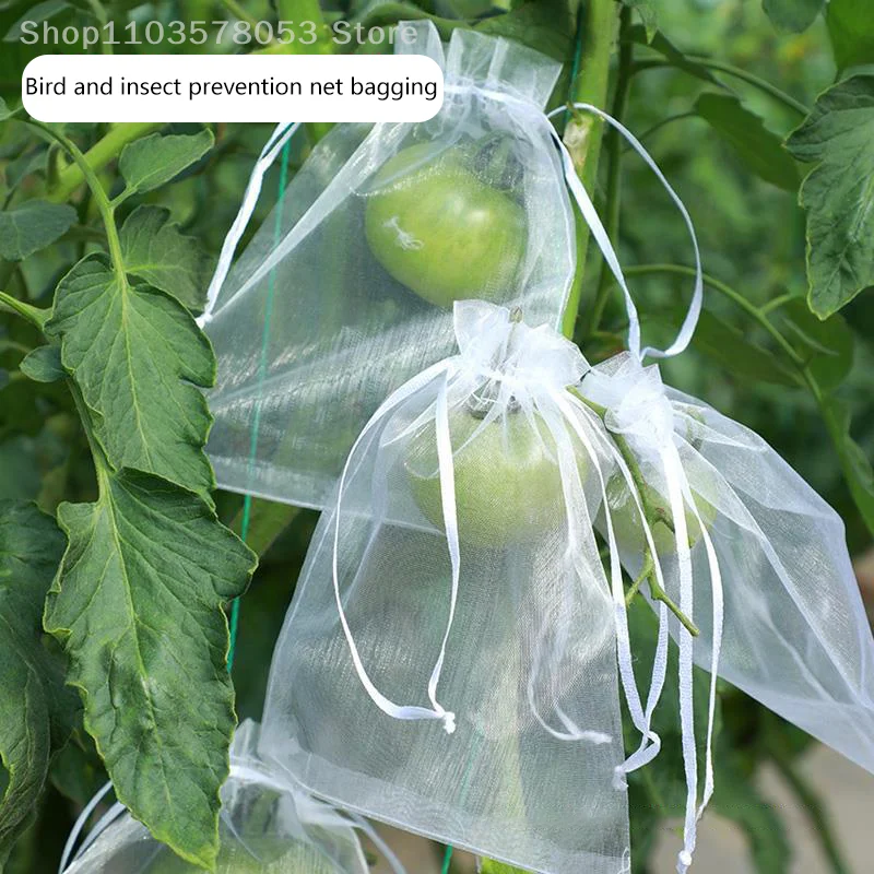 

50 шт./компл. сумки для защиты фруктов, борьба с вредителями, садовые сетчатые сумки из органзы против птиц, сетчатые сумки для выращивания сельскохозяйственных деревьев, садовых инструментов