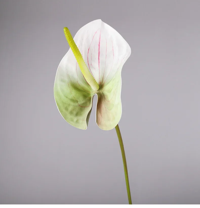 6/10 Stück Simulationsblumen, echt anfühlende weiße große Anthurien, Hotel-Dekoration, PU-Kunstblumen, künstliche Anthurien, Halle-Dekoration – Detail 17