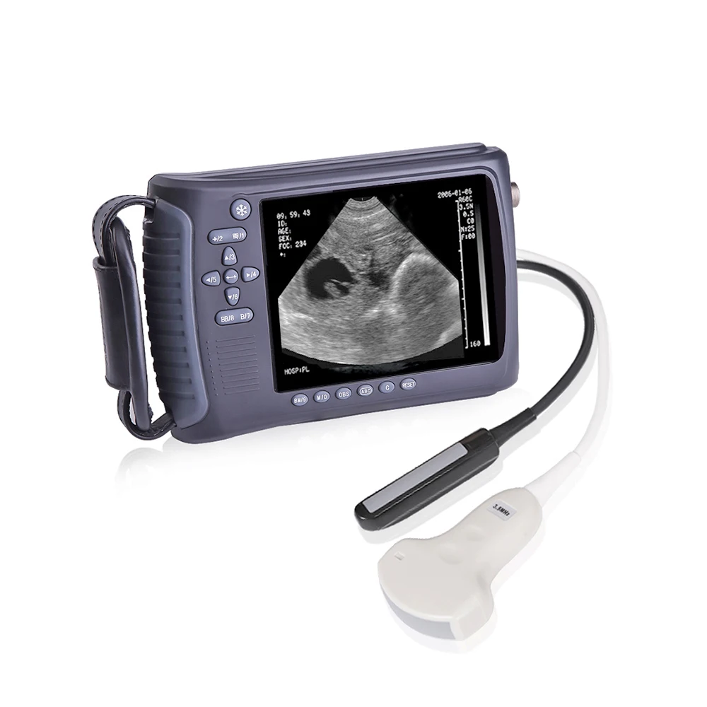 LT3018V CE Portable Veterinary Handheld Ultrasound USG Pet Price