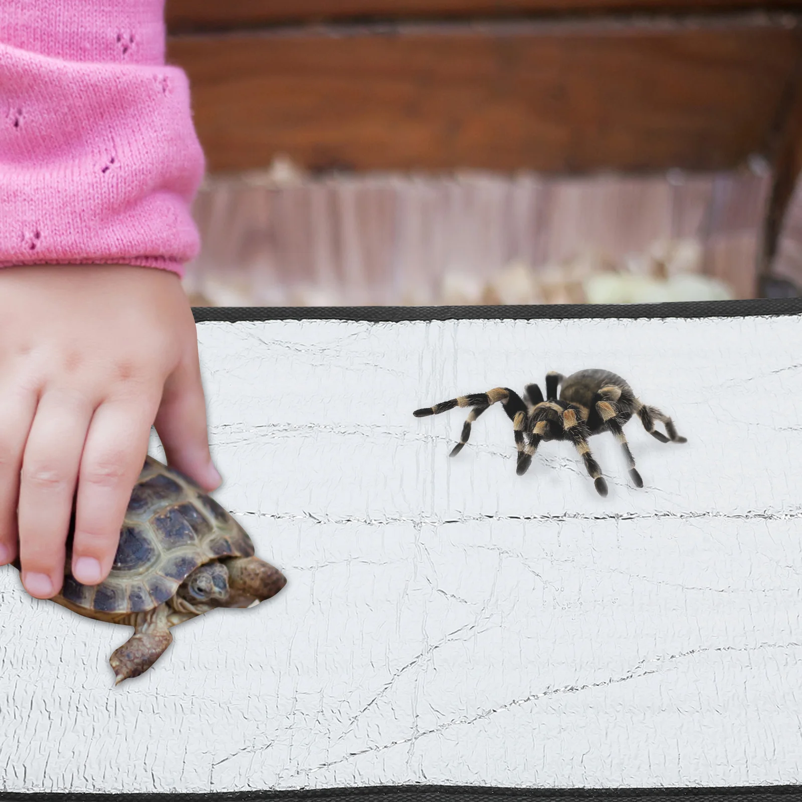 

Reptile Pet Thermal Pad Heating Outdoor Mat Leopard Gecko Accessories Pearl Cotton Tortoise Heater